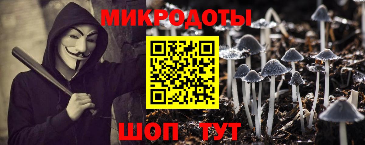 Псилоцибиновые грибы Psilocybine cubensis  Вход с VPN  Касимов 