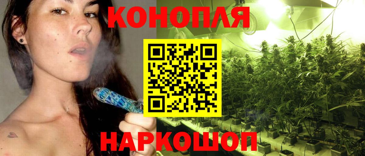 Каннабис индика Касимов