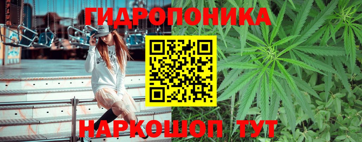 Конопля план  Вход с VPN  Касимов  Конопля планчик 